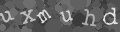Please type the characters of this captcha image in the input box