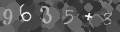 Please type the characters of this captcha image in the input box