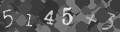 Please type the characters of this captcha image in the input box