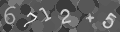 Please type the characters of this captcha image in the input box