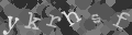 Please type the characters of this captcha image in the input box
