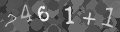Please type the characters of this captcha image in the input box