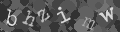 Please type the characters of this captcha image in the input box