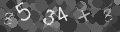 Please type the characters of this captcha image in the input box