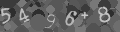 Please type the characters of this captcha image in the input box