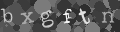 Please type the characters of this captcha image in the input box