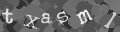 Please type the characters of this captcha image in the input box
