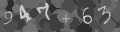 Please type the characters of this captcha image in the input box