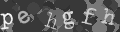 Please type the characters of this captcha image in the input box