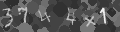 Please type the characters of this captcha image in the input box