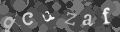 Please type the characters of this captcha image in the input box