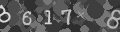 Please type the characters of this captcha image in the input box