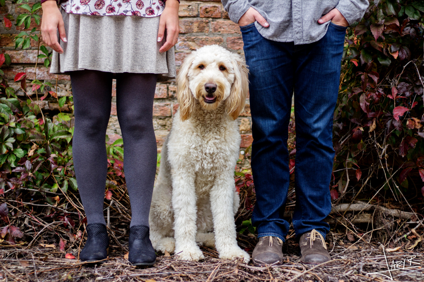 Jess & Jerry Madison Engagement | Inspiration Nook