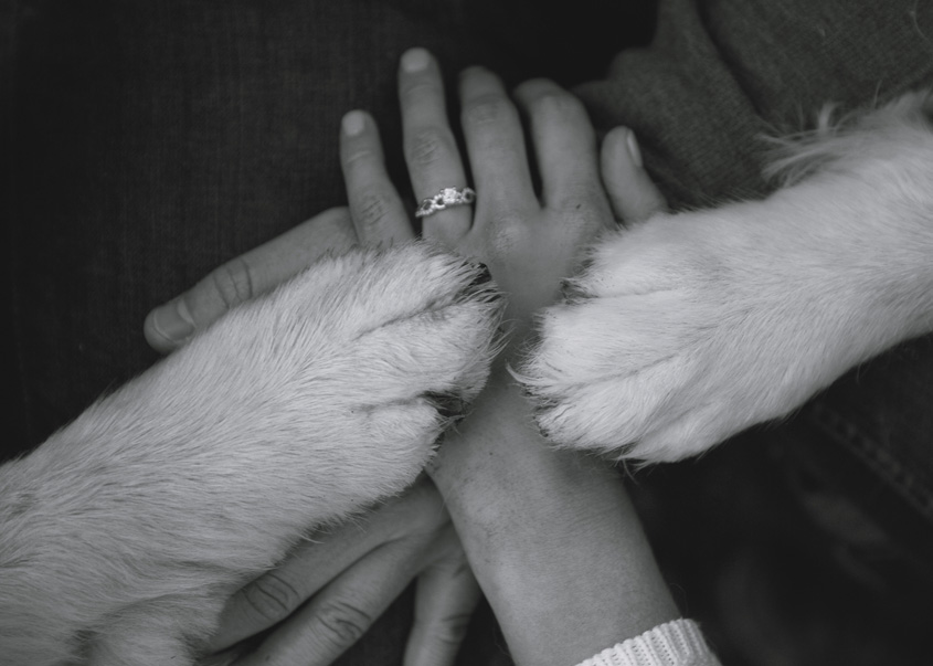 Beth + Mike Picnic Point Engagement Photos | Inspiration Nook