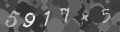 Please type the characters of this captcha image in the input box