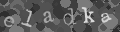Please type the characters of this captcha image in the input box